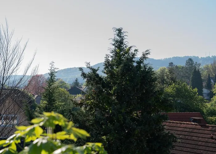 Apartment Färberei *