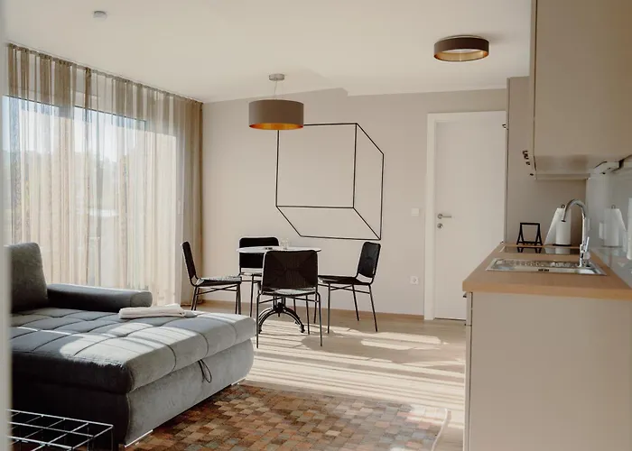 Färberei * Feldbach (Styria)